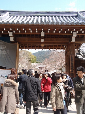 c0105785_15331359.jpg