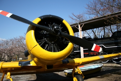 b0163486_21141011.jpg