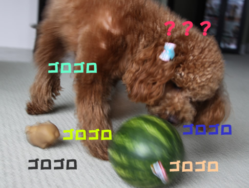 c0164491_1521445.jpg