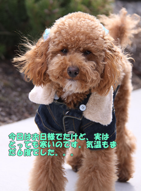 c0164491_1533933.jpg