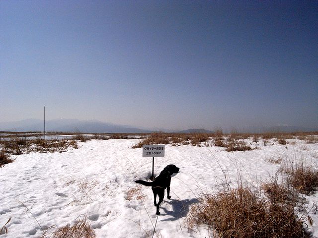 a0093592_21565550.jpg