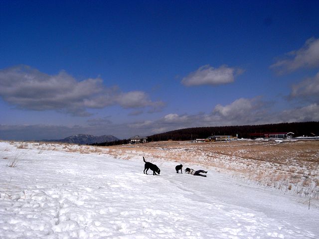 a0093592_22102529.jpg