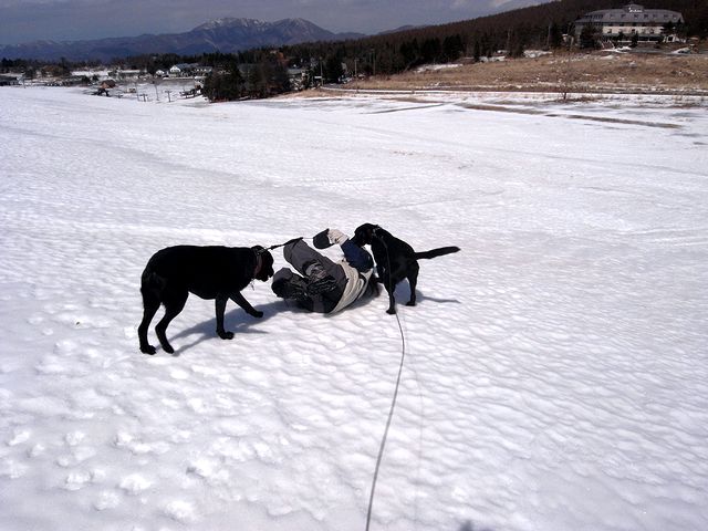 a0093592_22301086.jpg