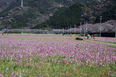 b0104592_22573077.jpg