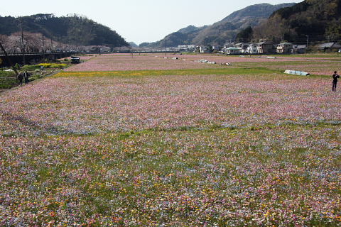 b0104592_23125547.jpg
