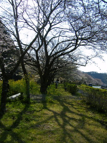 b0104592_23142795.jpg