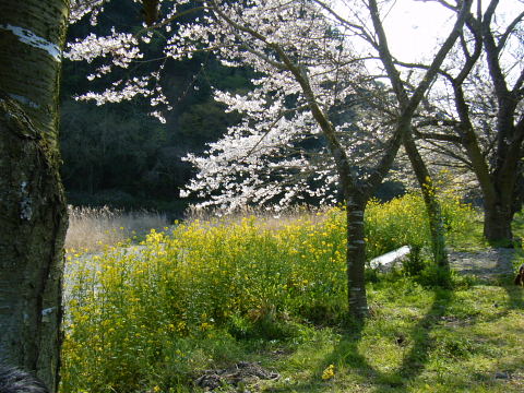 b0104592_23144378.jpg