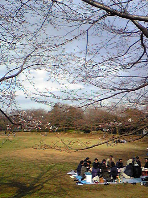 c0075299_18392145.jpg