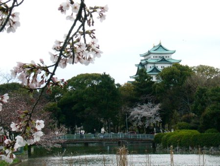 a0031000_10114840.jpg