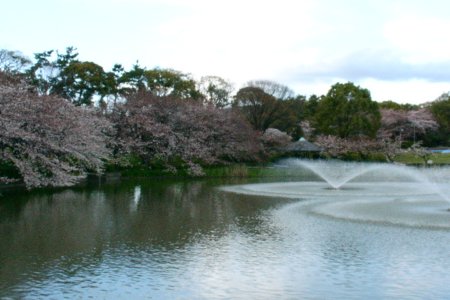 a0031000_101249.jpg