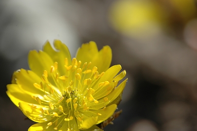 f0157901_1939127.jpg