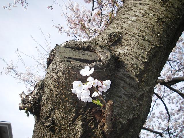 f0034602_17483553.jpg