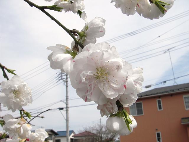 f0034602_17524786.jpg