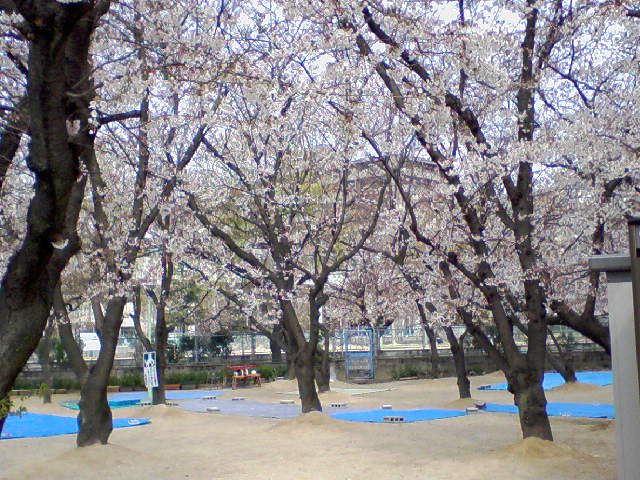 f0197703_11502569.jpg
