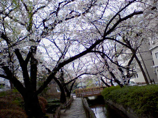 f0197703_11595686.jpg