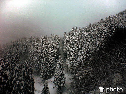 b0061004_1555410.jpg