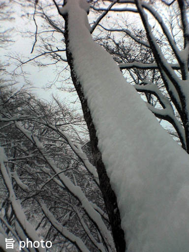 b0061004_1574413.jpg