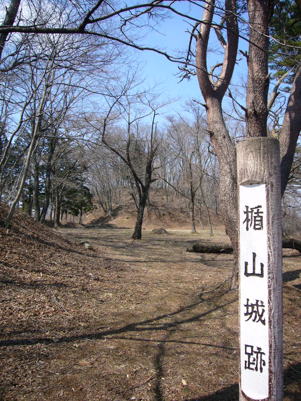 b0050305_19553694.jpg