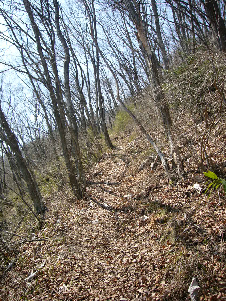 b0050305_19554412.jpg
