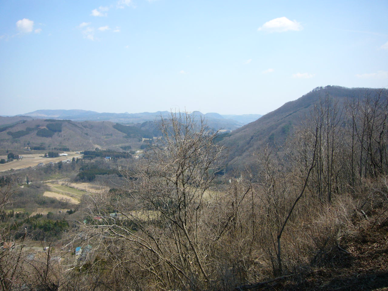 b0050305_2012088.jpg