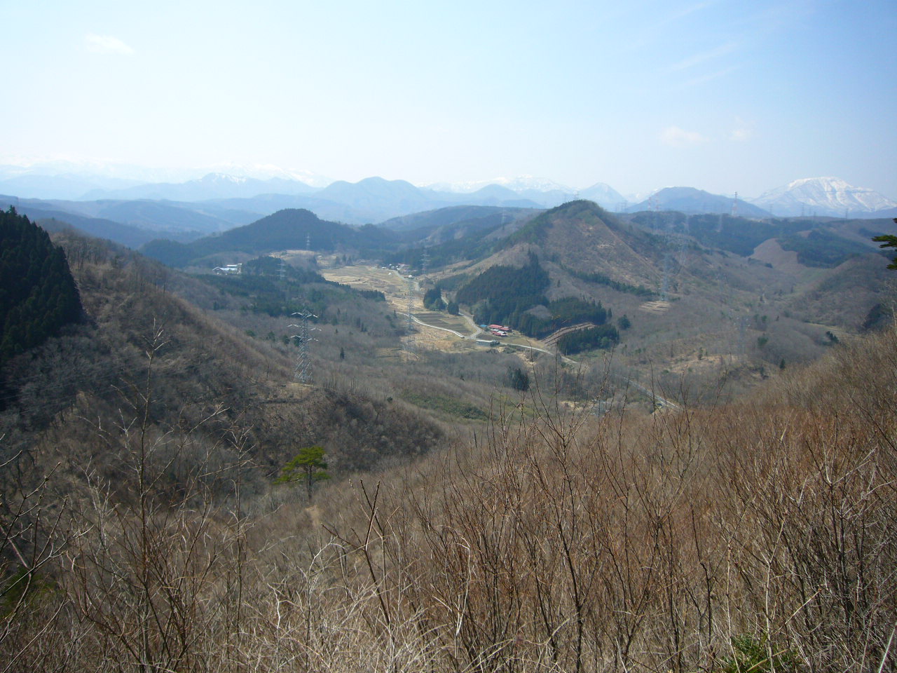 b0050305_2024845.jpg