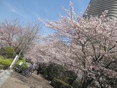 d0115106_13571931.jpg