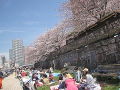 d0115106_1357521.jpg