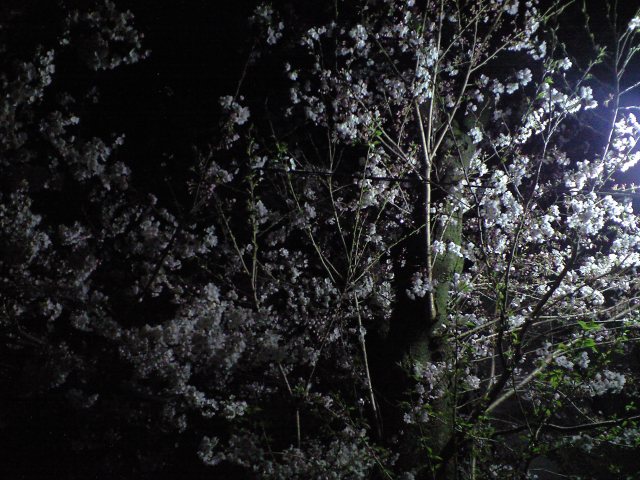 b0076307_23265666.jpg