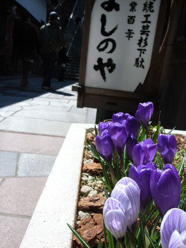 f0117707_23105885.jpg