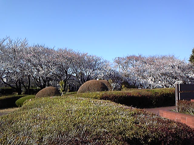 e0015108_1142450.jpg