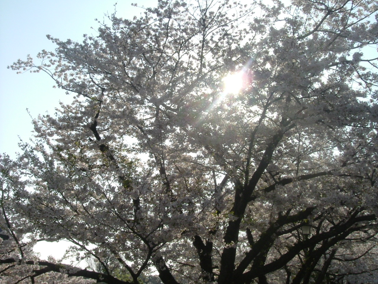 e0149210_18261575.jpg
