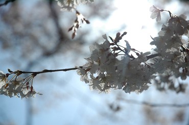 f0000211_21582359.jpg