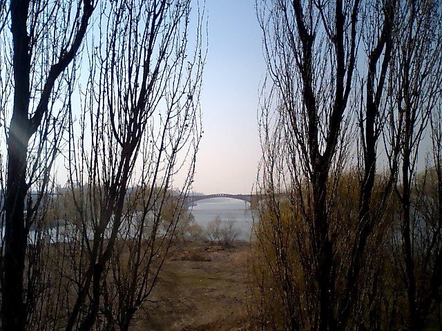 a0101715_20541319.jpg