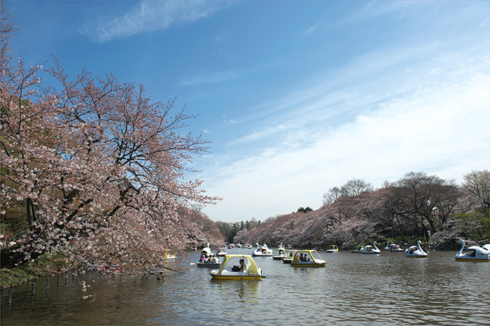 f0014815_21165267.jpg
