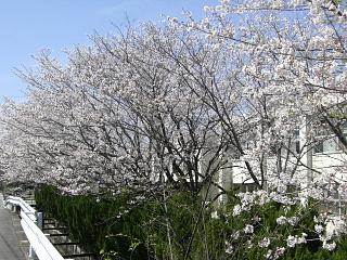 b0073616_922724.jpg