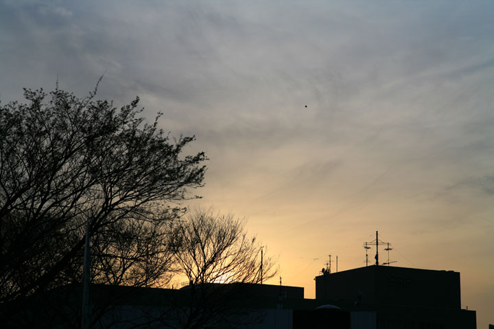 f0056516_23463623.jpg
