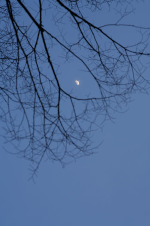 f0056516_23504954.jpg