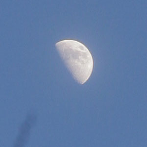 f0056516_23534576.jpg