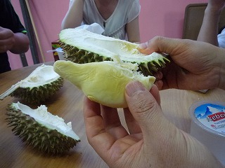 f0095618_22263371.jpg