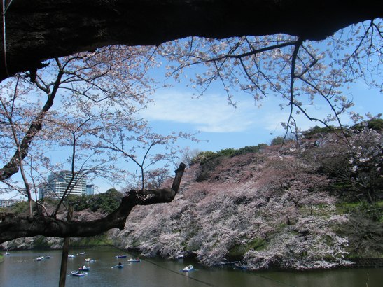 e0047322_2033378.jpg
