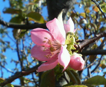 f0036223_9415143.jpg