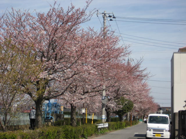 e0166032_18115848.jpg