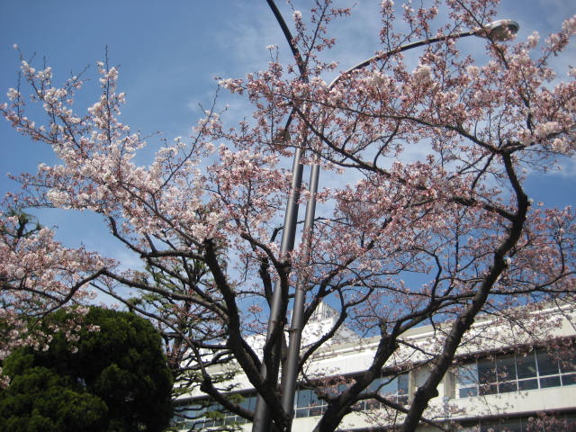 e0166032_18151090.jpg