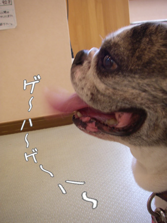 e0008833_1355485.jpg