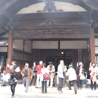 d0033734_11565981.gif