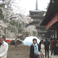 d0033734_11592822.gif