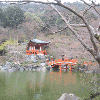 d0033734_1231861.gif
