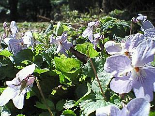 f0161834_23324574.jpg