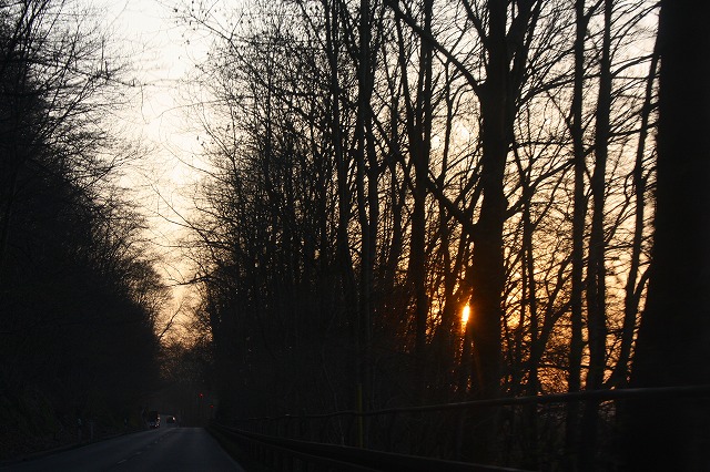 c0153740_623515.jpg