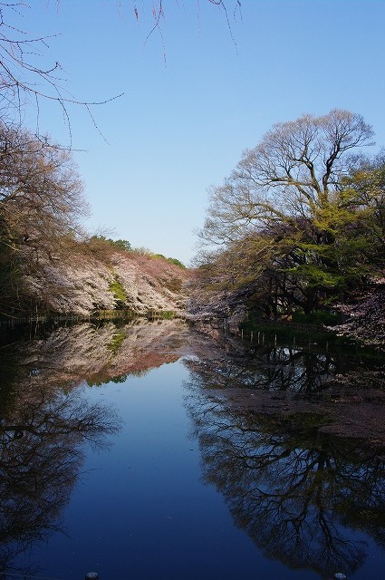 a0009142_2232458.jpg